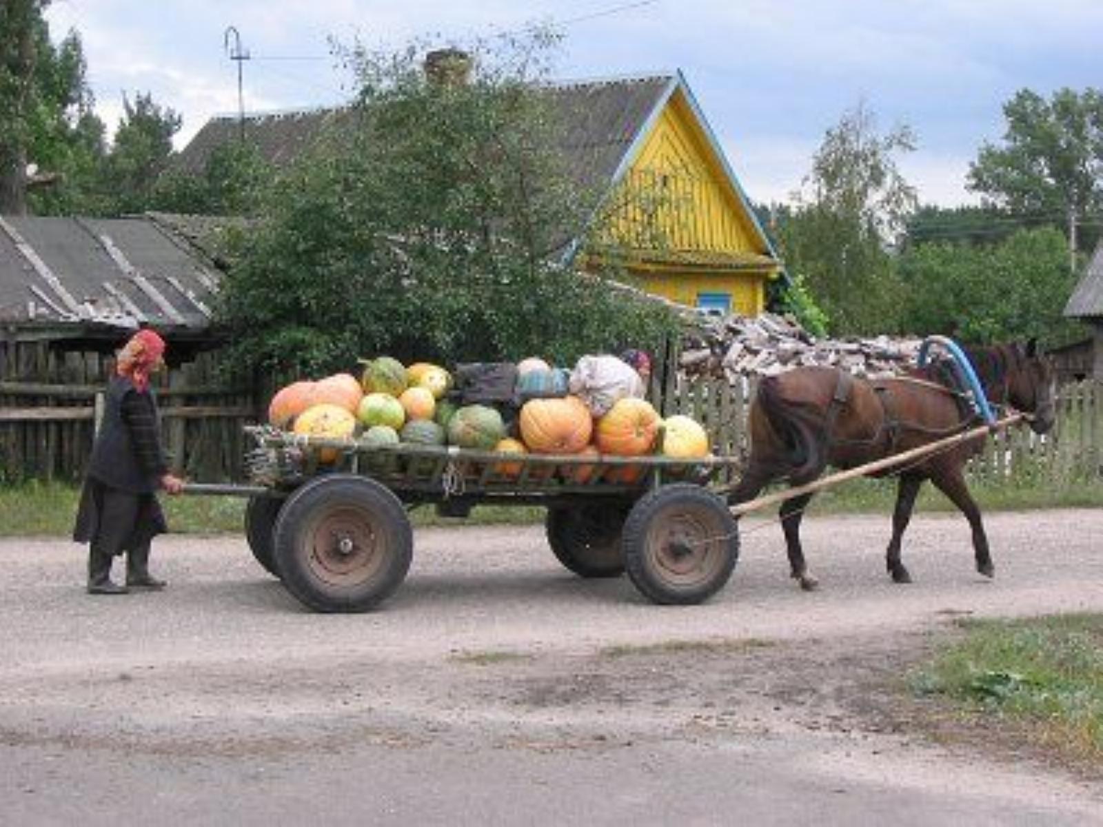 Фотозарисовки Фотозарисовки