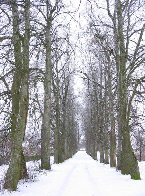 Парк (фрагменты)