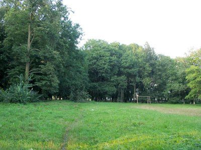 Парк (фрагменты)