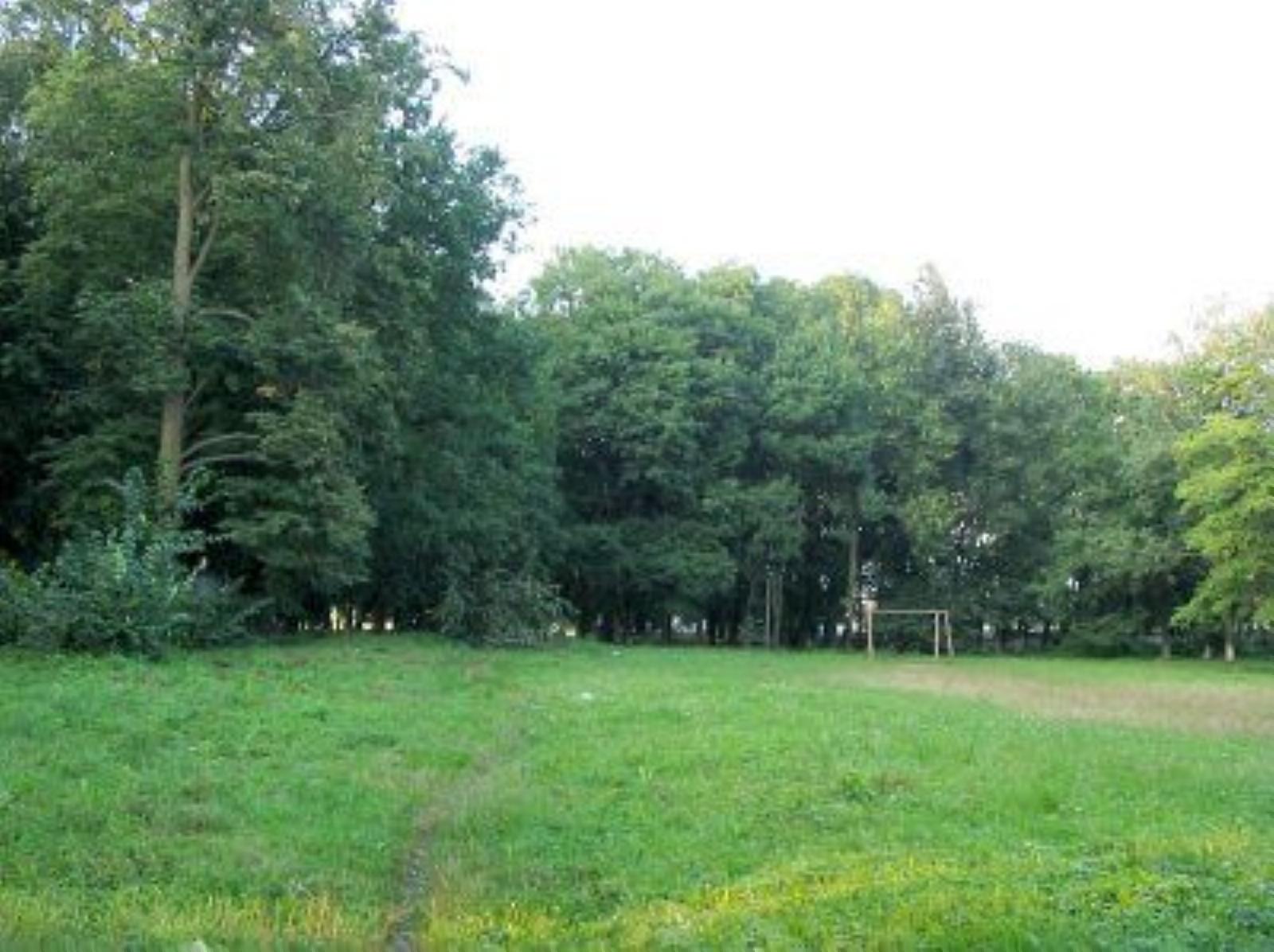 Парк (фрагменты) Парк (фрагменты)