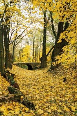 Фотозарисовки