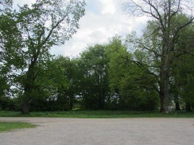 Парк (фрагменты)