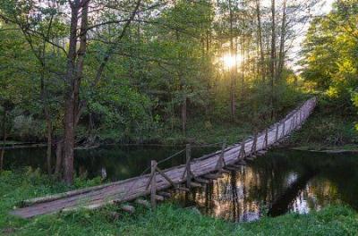 Мост подвесной (дерев.)