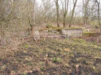 Усадебный дом /сохр. фундамент/