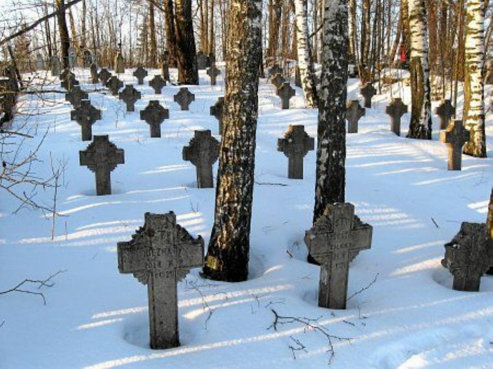 Кладбище польских солдат Кладбище польских солдат