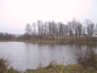 Парк (фрагменты)