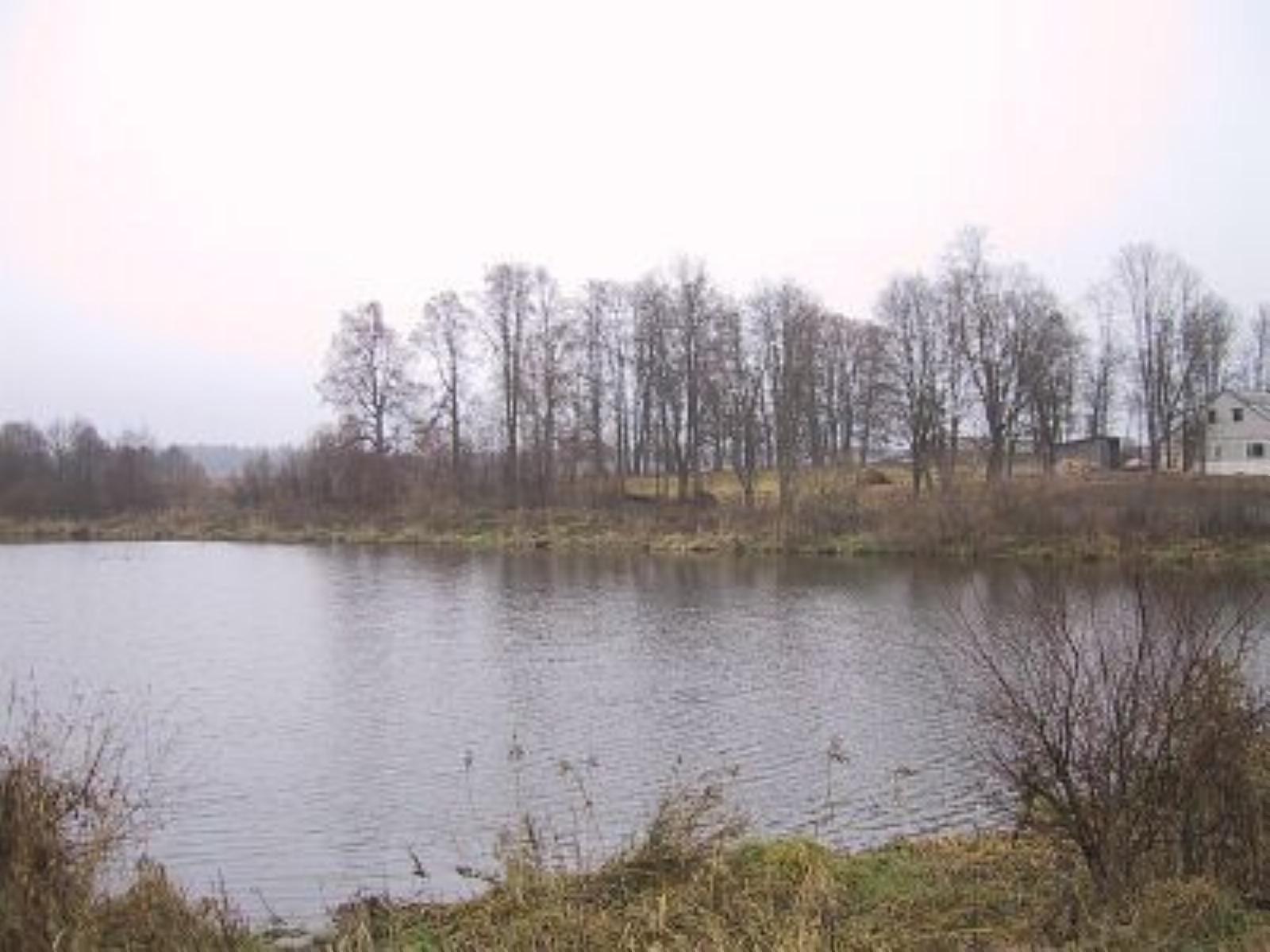 Парк (фрагменты) Парк (фрагменты)