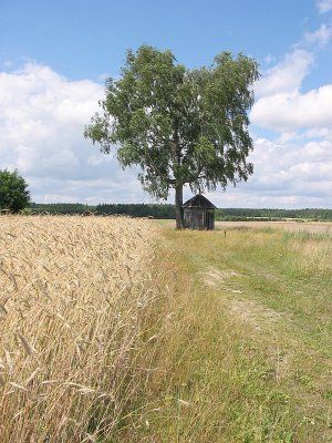 Фотозарисовки