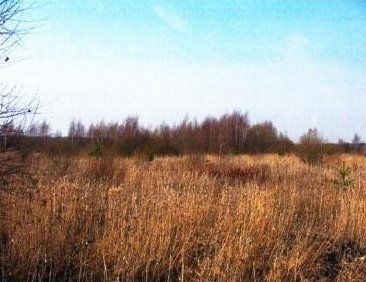 Памятник природы Синюха