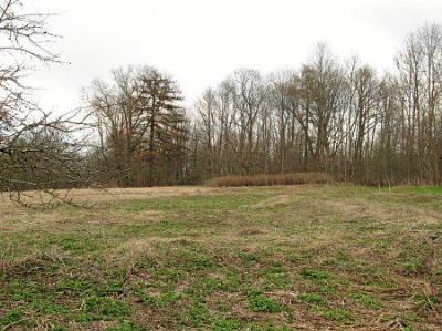 Парк (фрагменты)