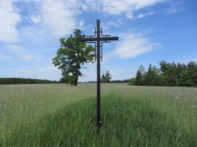 Могила участников восстания 1863-64 гг.