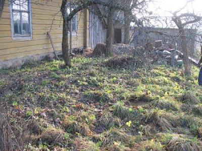 Кладбище солдат 1-й мировой войны