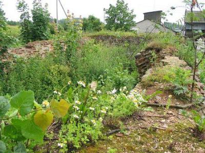 Усадебный дом /сохр. цокольный этаж/