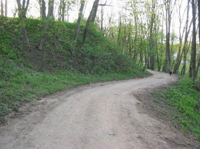 Остатки земляных укреплений