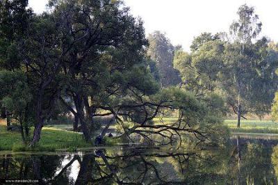 Музей-усадьба Янки Купалы
