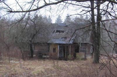 Усадебный дом (дерев.)