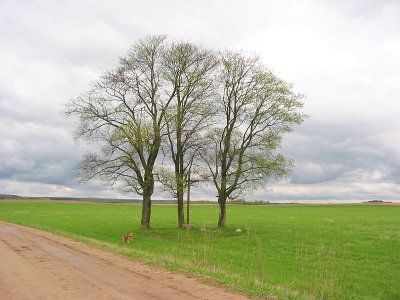 Фотозарисовки