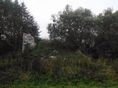 Водяная мельница /сохр. частично/