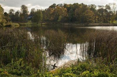 Парк (фрагменты)