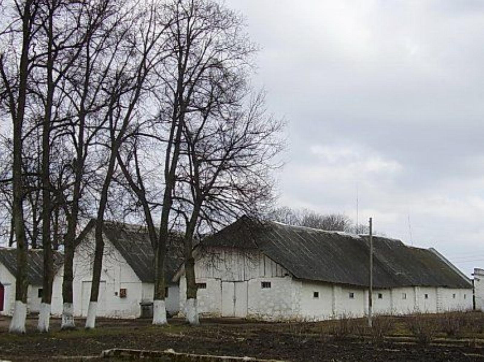 Хозпостройки Хозпостройки