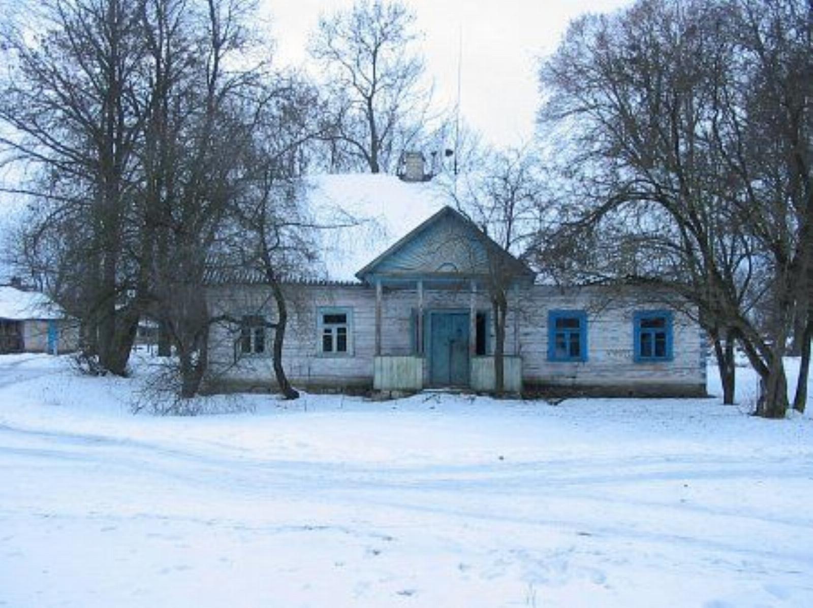 Флигели (?) (дерев.) Флигели (?) (дерев.)