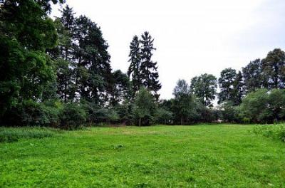 Парк (фрагменты)