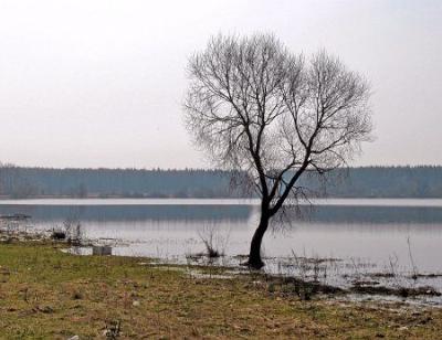 Фотозарисовки