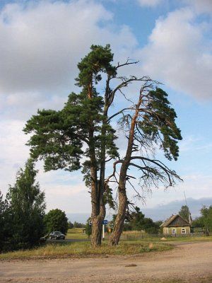 Фотозарисовки