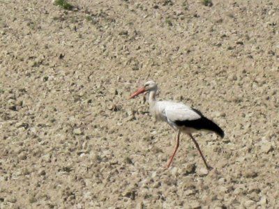 Фотозарисовки