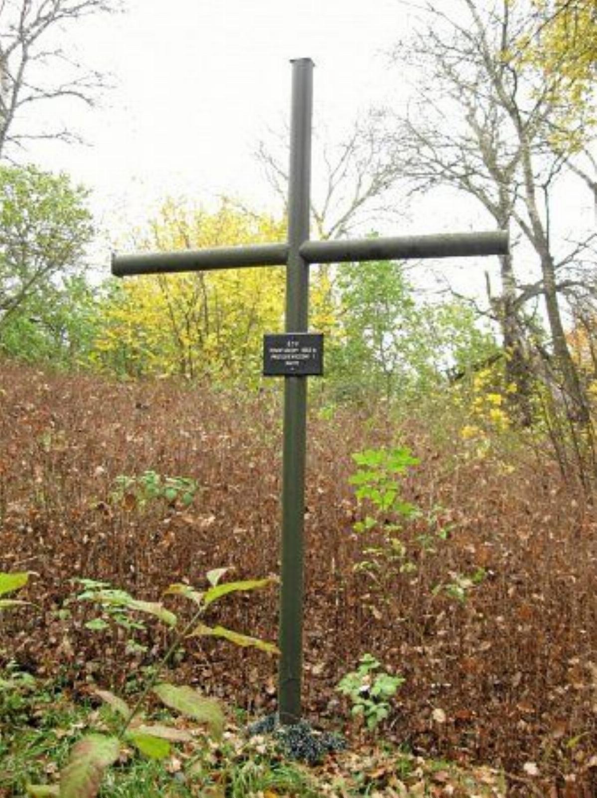 Мемориальный крест участникам восстания 1863-64 гг. Мемориальный крест участникам восстания 1863-64 гг.