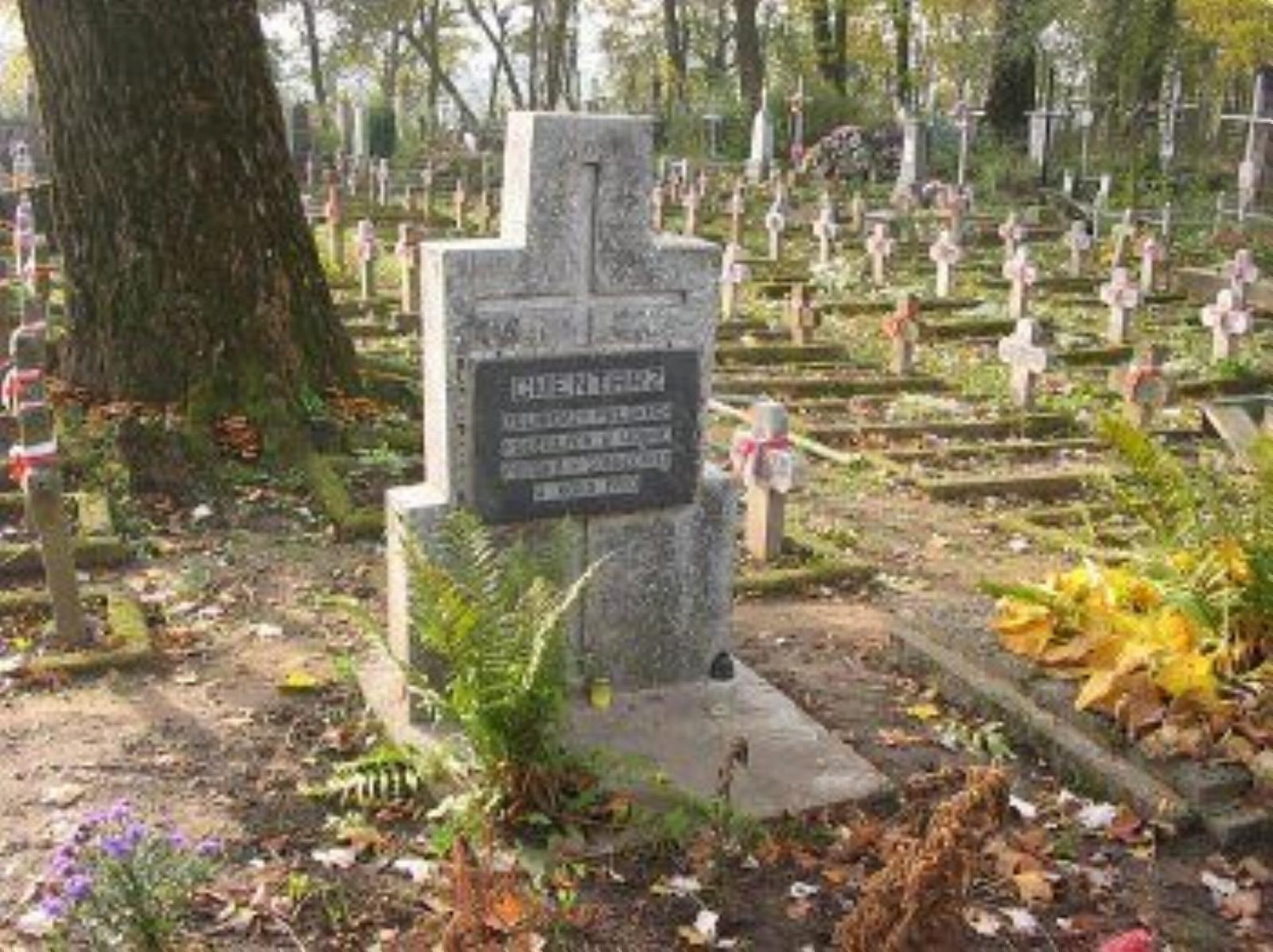 Могилы польских солдат Могилы польских солдат