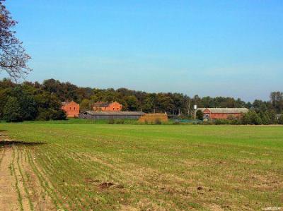 Усадьба Рейтанов