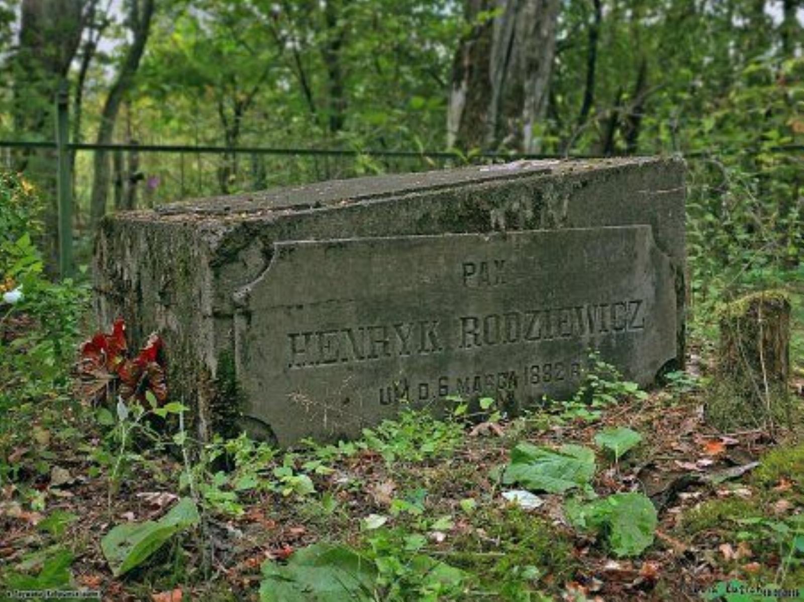 Могила родителей Марии Родевич (участников восстания 1863-64 гг.) Могила родителей Марии Родевич (участников восстания 1863-64 гг.)