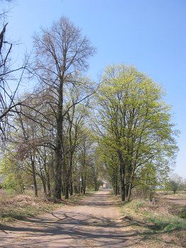 Парк (фрагменты)