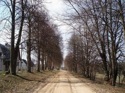 Аллея въездная