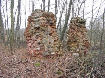 Хозпостройка (руины)