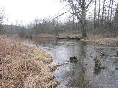 Река Ошмянка