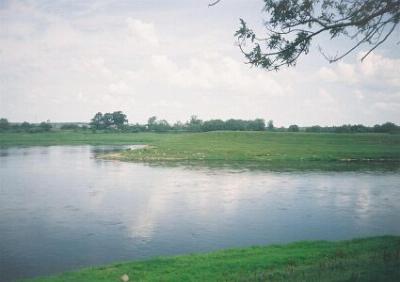 Замчище (археол.)