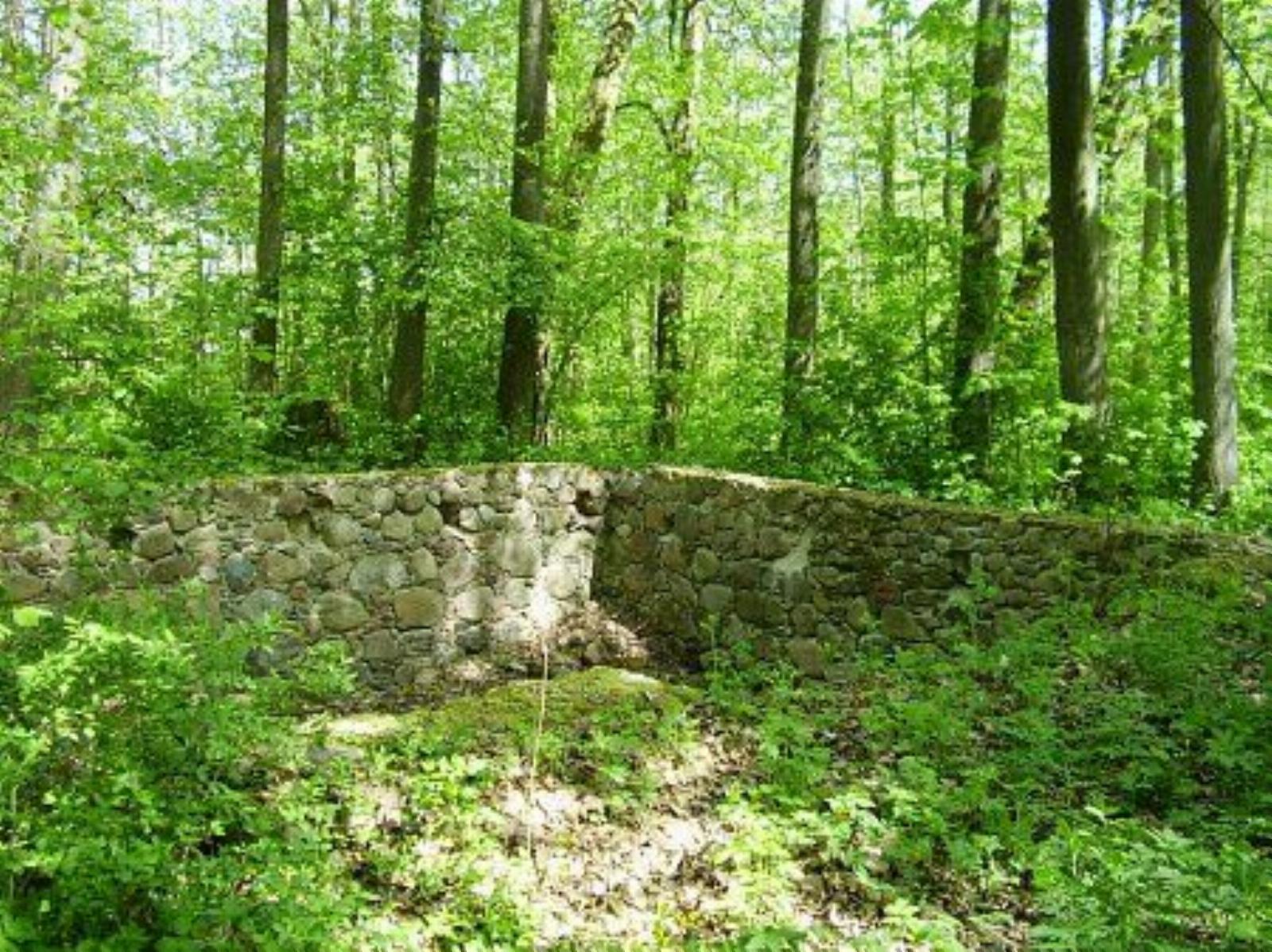 Хозпостройка /сохр. частично/ Хозпостройка /сохр. частично/