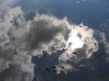 Фотозарисовки