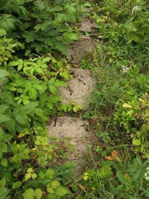 Кладбище солдат 1-й мировой войны