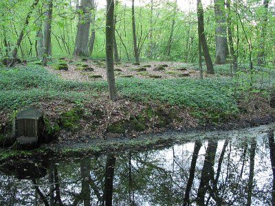 Кладбище  солдат 1-й мировой войны