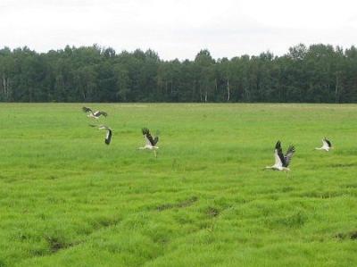 Фотозарисовки