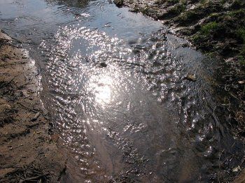 Фотозарисовки