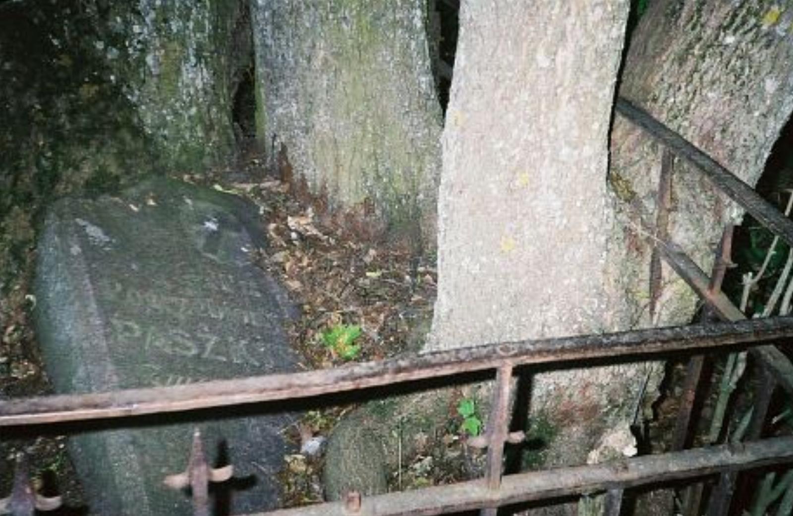 Фотозарисовки Фотозарисовки