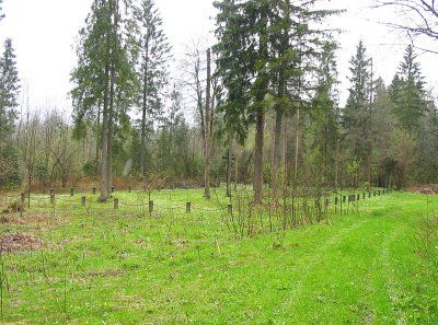 Кладбище солдат 1-й мировой войны