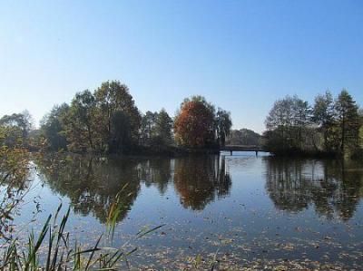 Парк (фрагменты)