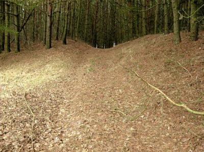 Земляные укрепления замка Вишневецких