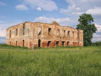 Флигель левый