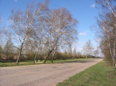 Фотозарисовки